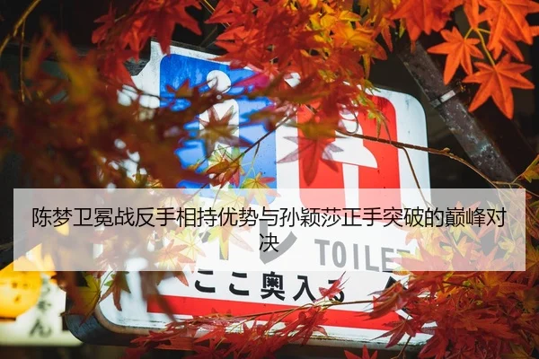陈梦卫冕战反手相持优势与孙颖莎正手突破的巅峰对决